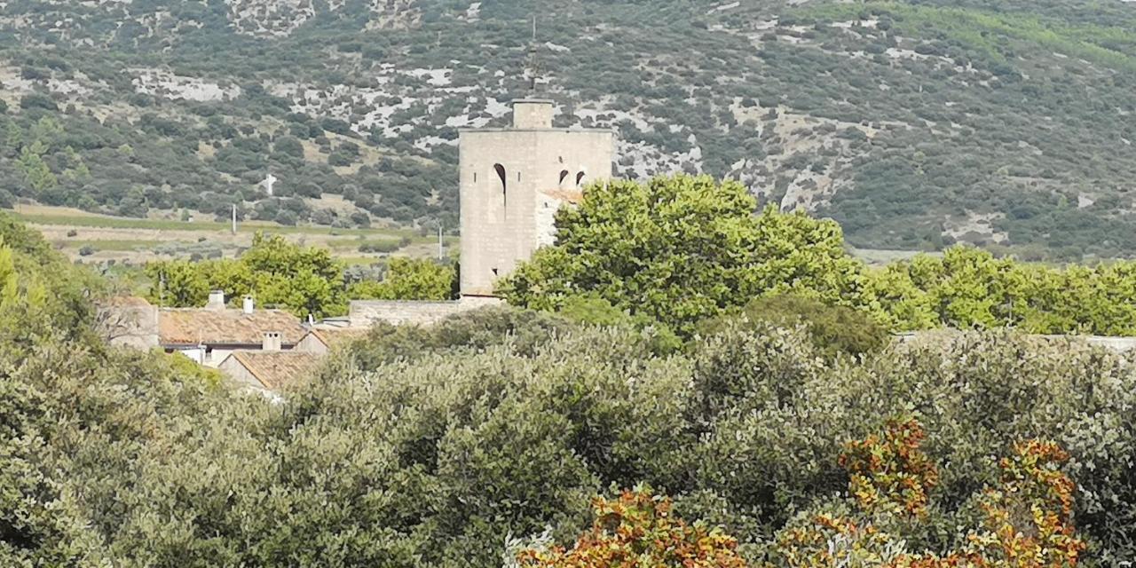 Le Mimosa Bed & Breakfast Saint-Saturnin-de-Lucian ภายนอก รูปภาพ