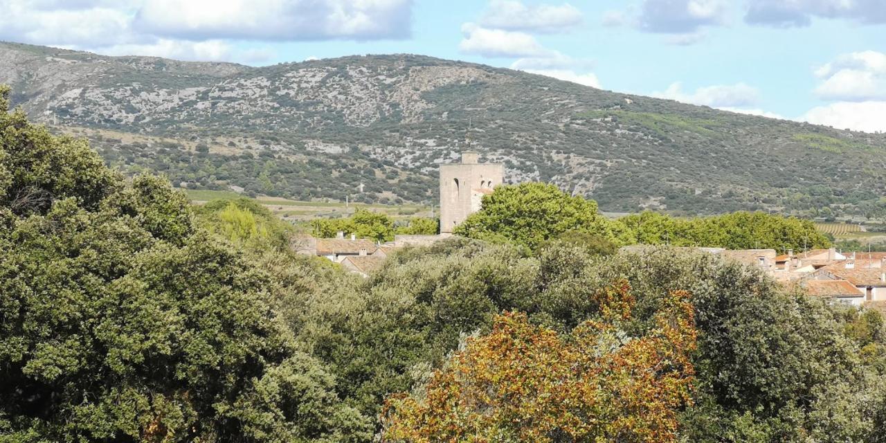 Le Mimosa Bed & Breakfast Saint-Saturnin-de-Lucian ภายนอก รูปภาพ