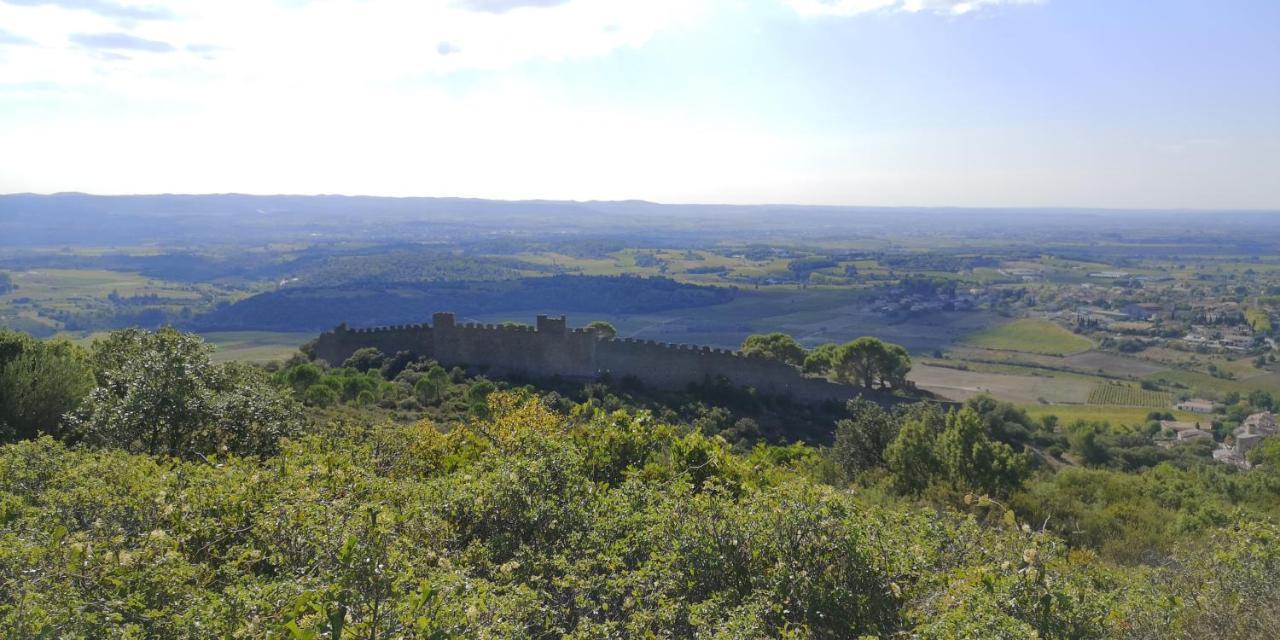 Le Mimosa Bed & Breakfast Saint-Saturnin-de-Lucian ภายนอก รูปภาพ