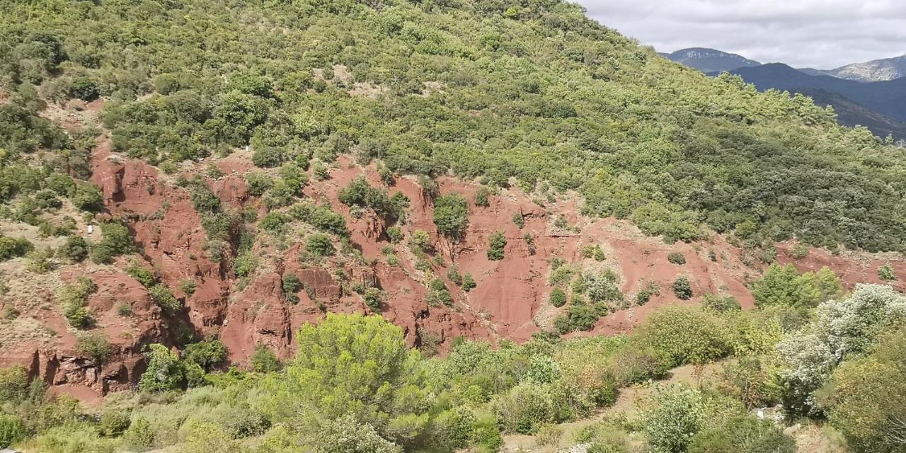 Le Mimosa Bed & Breakfast Saint-Saturnin-de-Lucian ภายนอก รูปภาพ