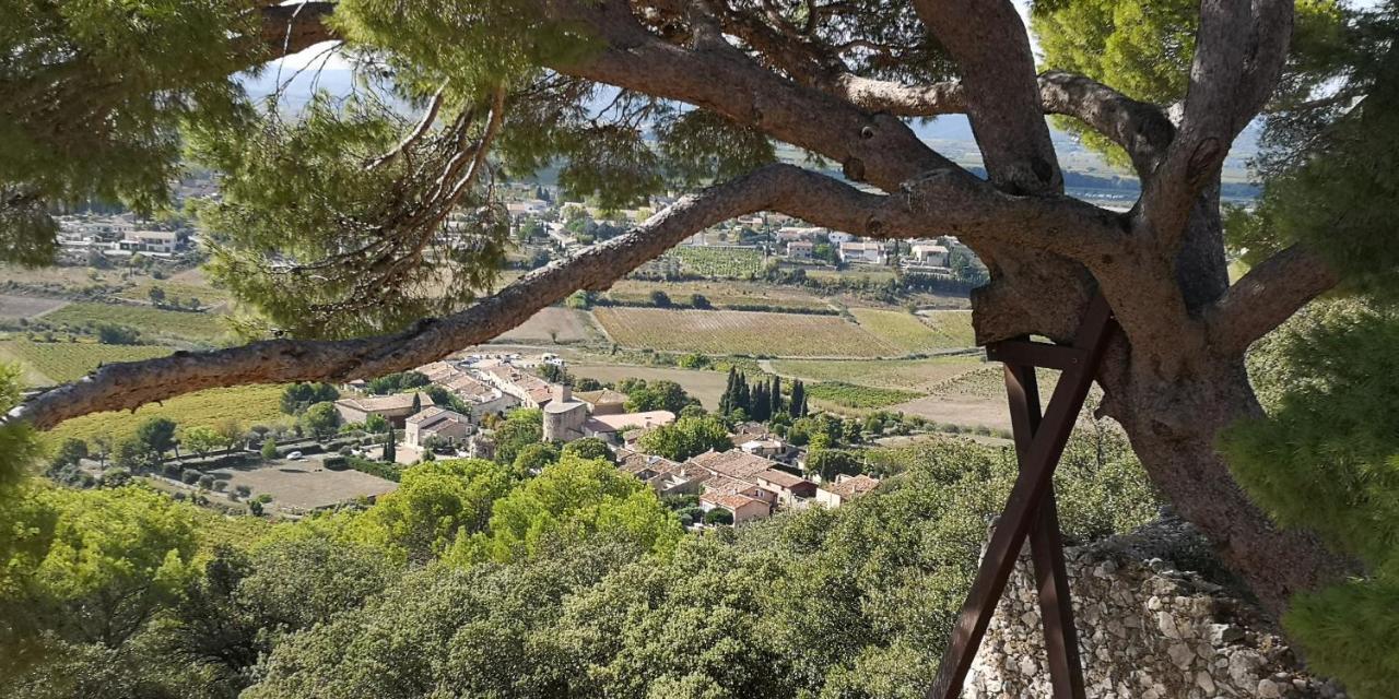 Le Mimosa Bed & Breakfast Saint-Saturnin-de-Lucian ภายนอก รูปภาพ