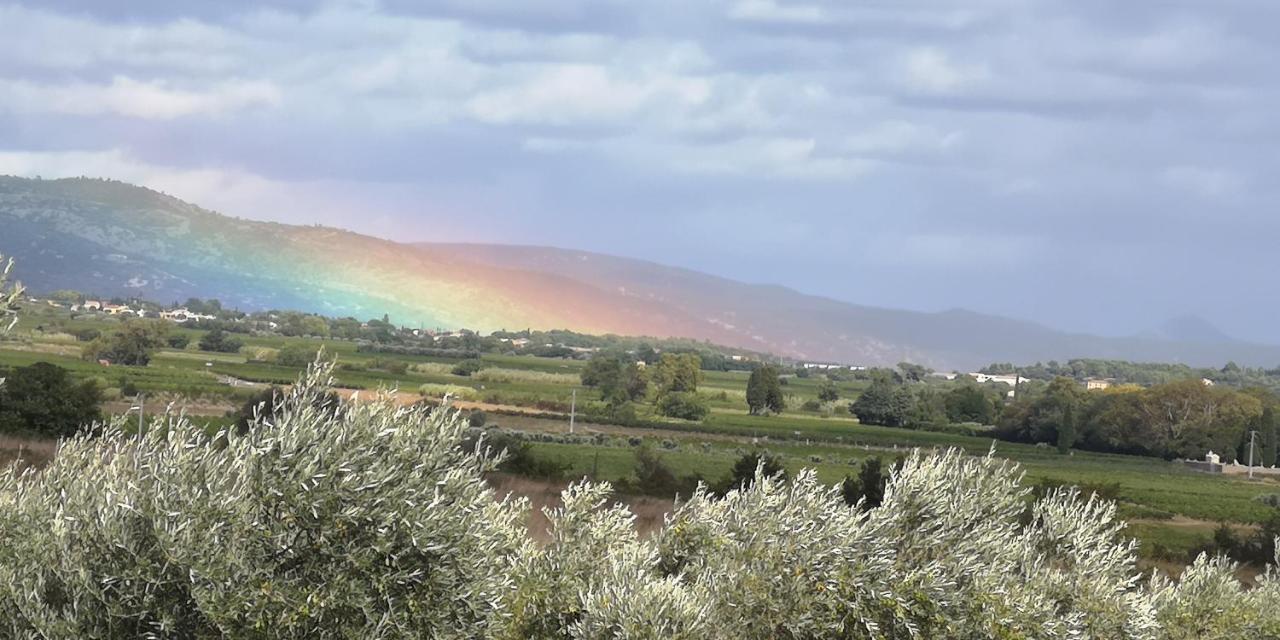 Le Mimosa Bed & Breakfast Saint-Saturnin-de-Lucian ภายนอก รูปภาพ