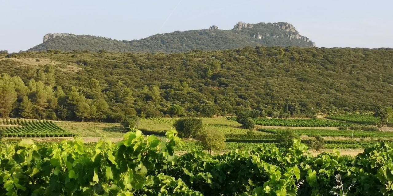 Le Mimosa Bed & Breakfast Saint-Saturnin-de-Lucian ภายนอก รูปภาพ