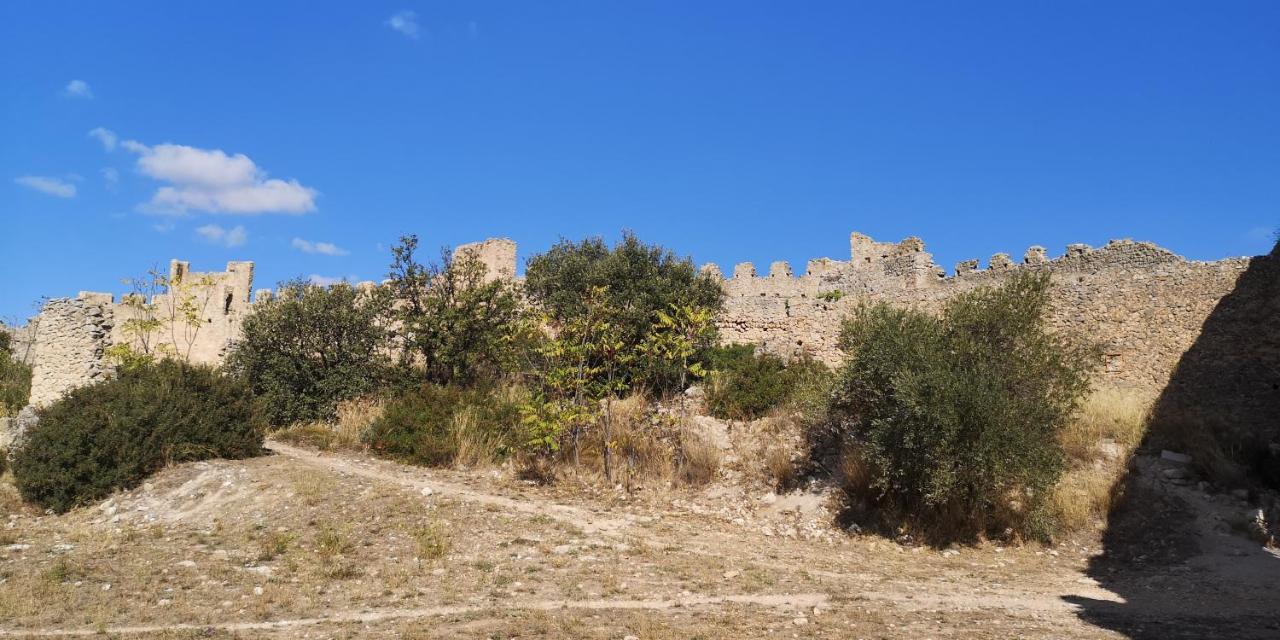 Le Mimosa Bed & Breakfast Saint-Saturnin-de-Lucian ภายนอก รูปภาพ