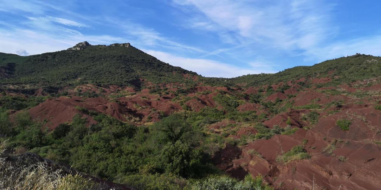 Le Mimosa Bed & Breakfast Saint-Saturnin-de-Lucian ภายนอก รูปภาพ